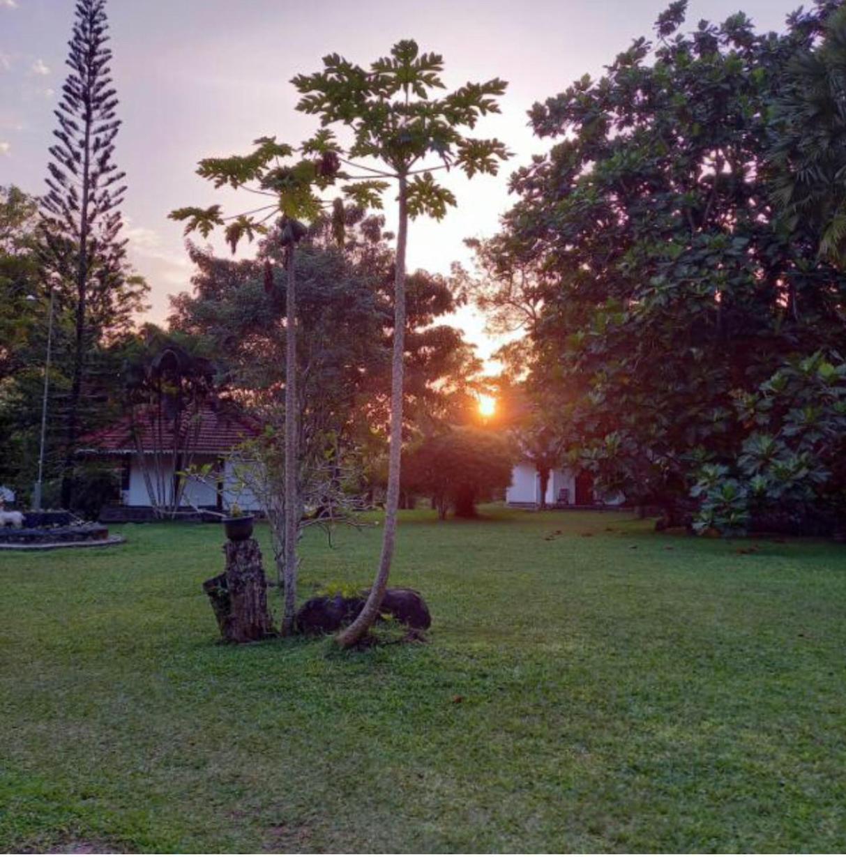 Subodinee Bungalow Weligama Exterior foto